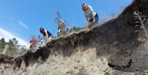 Историческому кладбищу в Милованово угрожают наводнение и мародёры