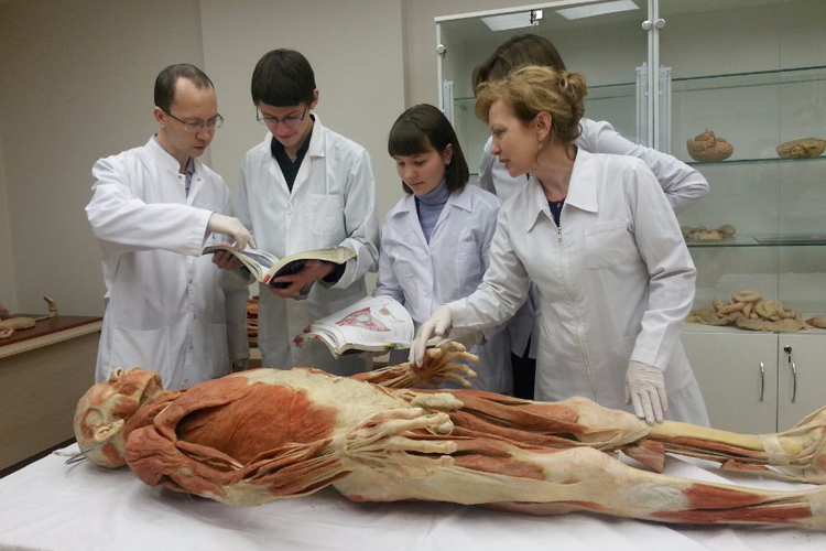 Законы о патологоанатомическом вскрытии