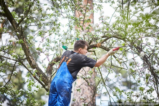 Новосибирский режиссер снял мини-фильм о смотрителе кладбища