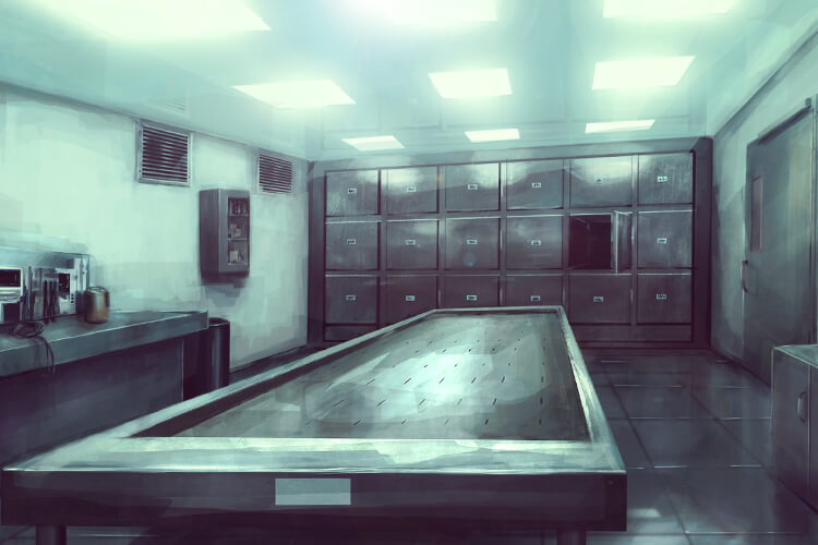 Что такое морг? Три вида моргов